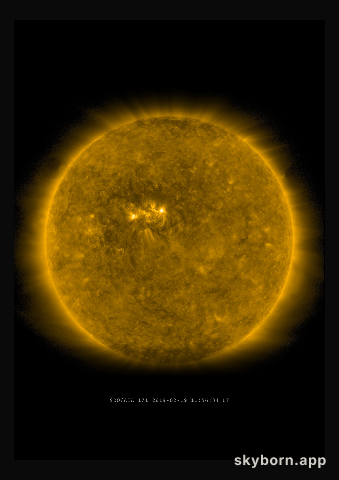 The Sun on 19 February 2019