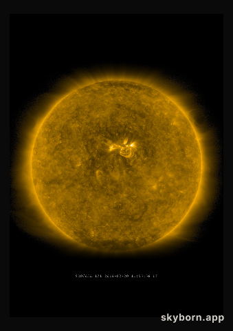 The Sun on 20 February 2019