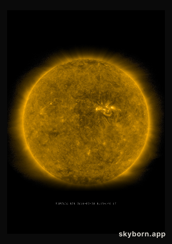 The Sun on 21 February 2019