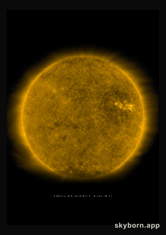 The Sun on 23 February 2019