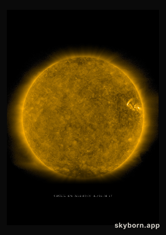 The Sun on 24 February 2019