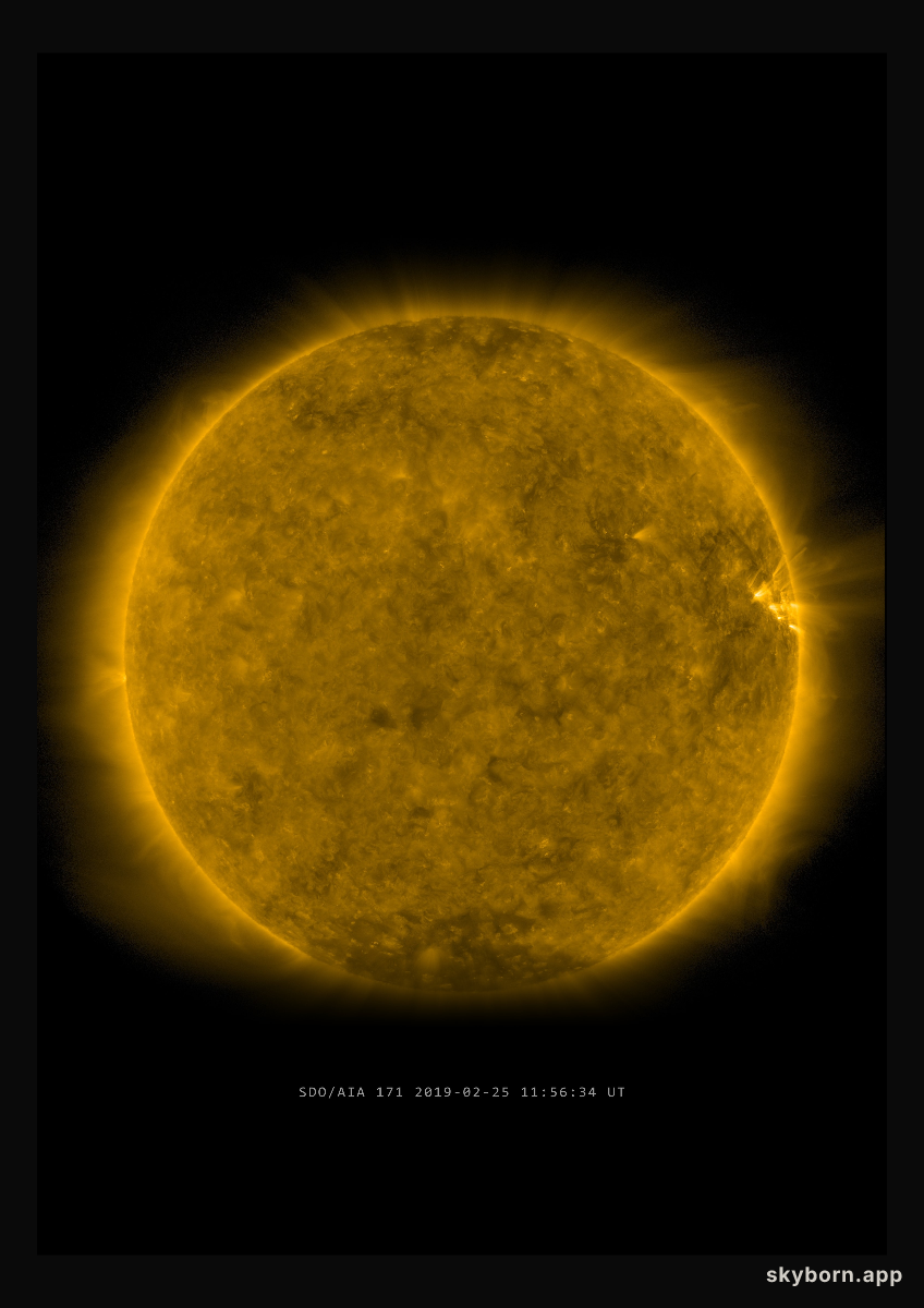 The Sun on 25 February 2019