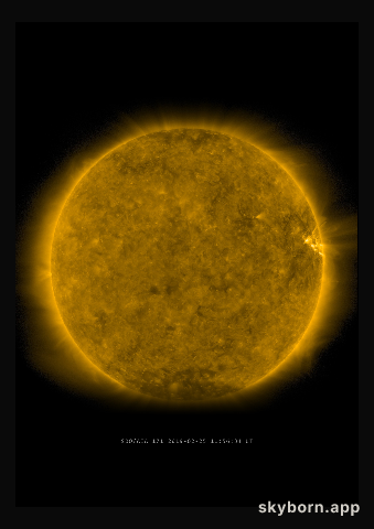 The Sun on 25 February 2019