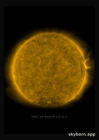 The Sun on 26 February 2019