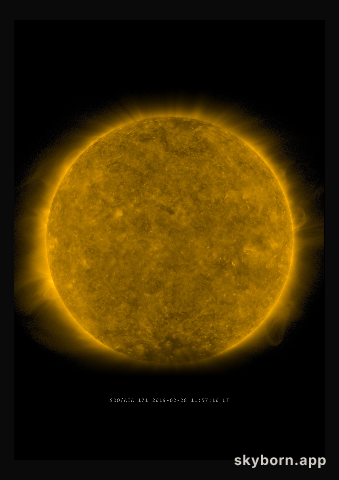 The Sun on 28 February 2019