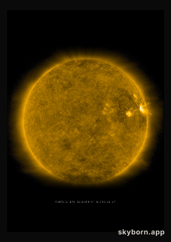 The Sun on 23 March 2019