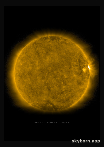 The Sun on 24 March 2019