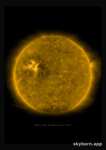 The Sun on 11 April 2019