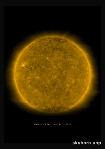 The Sun on 25 May 2019