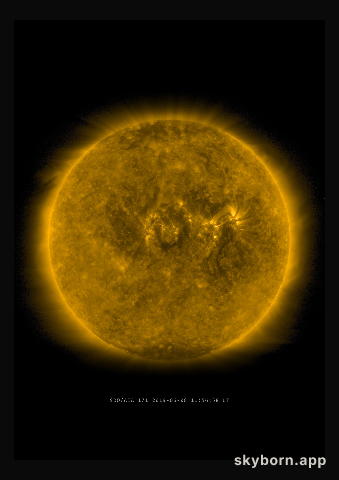 The Sun on 8 June 2019
