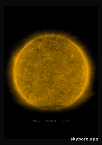 The Sun on 20 July 2019