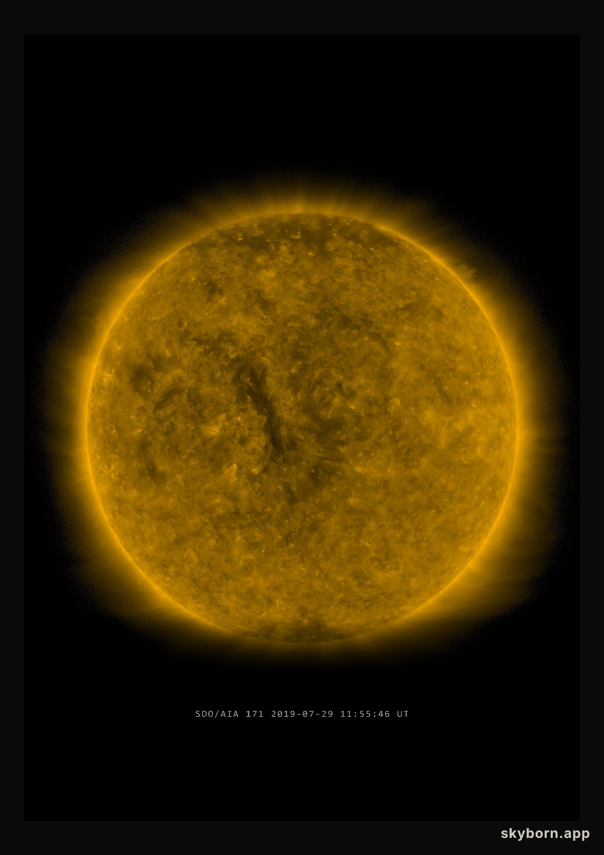 The Sun on 29 July 2019