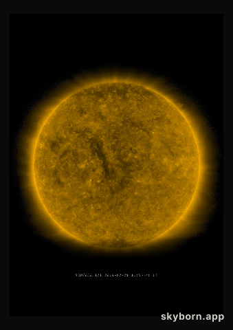 The Sun on 29 July 2019