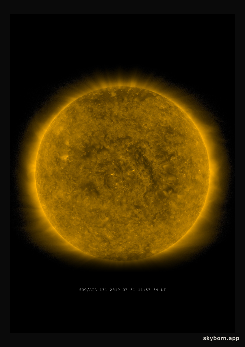 The Sun on 31 July 2019