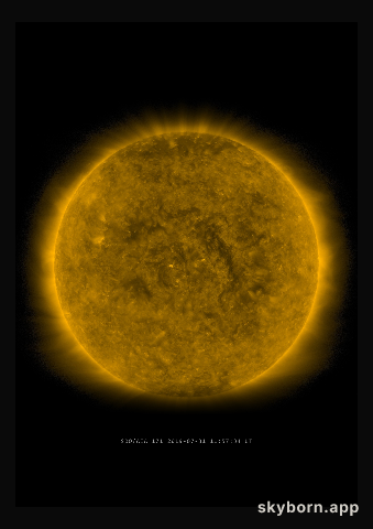 The Sun on 31 July 2019
