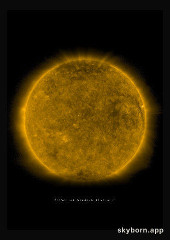 The Sun on 4 August 2019