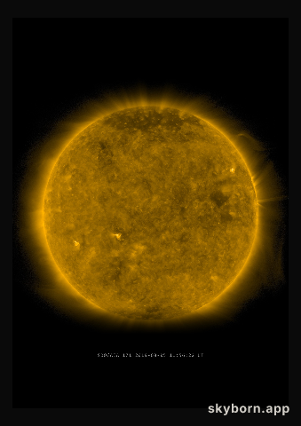 The Sun on 5 August 2019