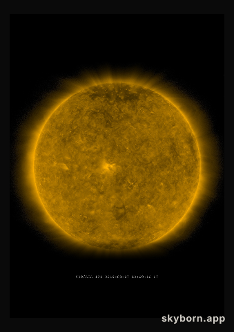The Sun on 7 August 2019