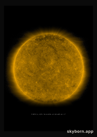 The Sun on 11 August 2019