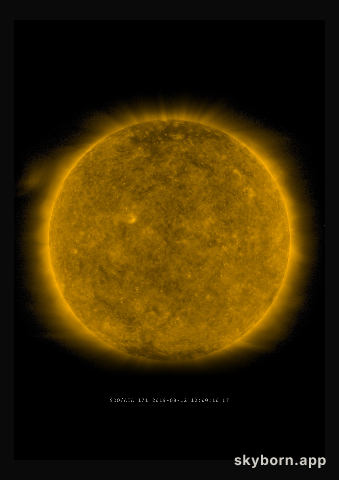 The Sun on 12 August 2019