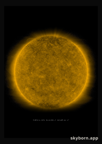 The Sun on 15 August 2019