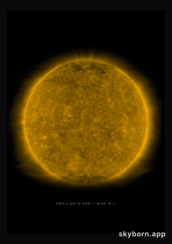 The Sun on 17 August 2019