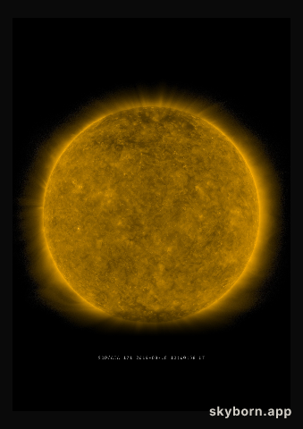 The Sun on 18 August 2019