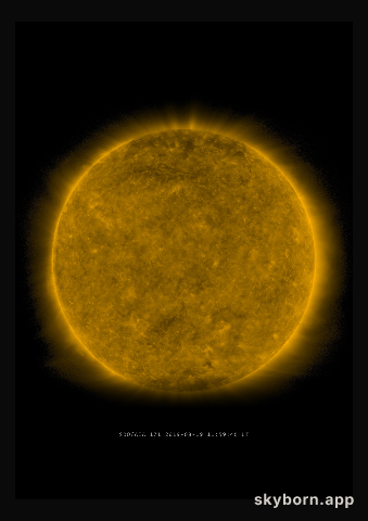 The Sun on 19 August 2019