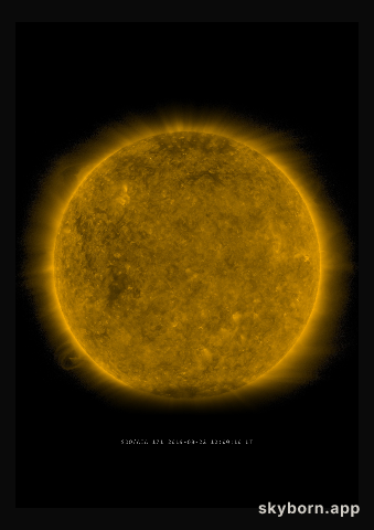 The Sun on 22 August 2019