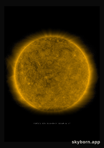 The Sun on 24 August 2019