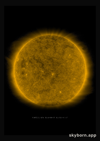 The Sun on 25 August 2019