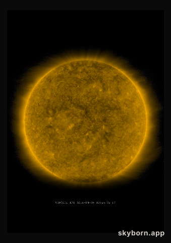 The Sun on 26 August 2019