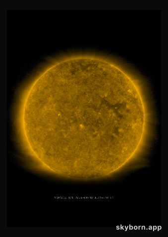 The Sun on 31 August 2019