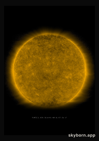The Sun on 9 November 2019