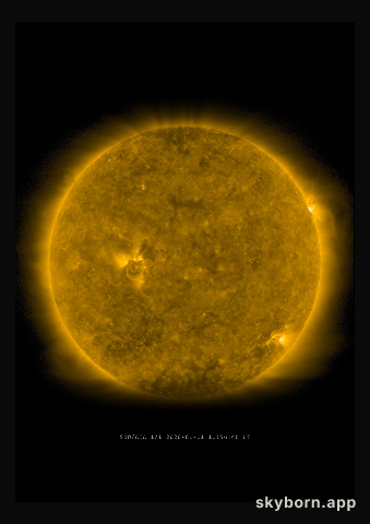The Sun on 11 January 2020