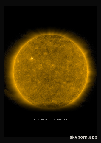The Sun on 19 January 2020