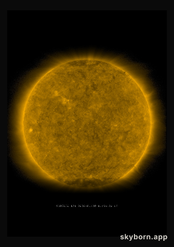 The Sun on 20 January 2020