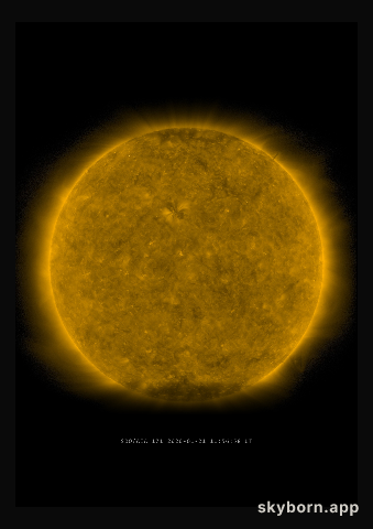 The Sun on 21 January 2020