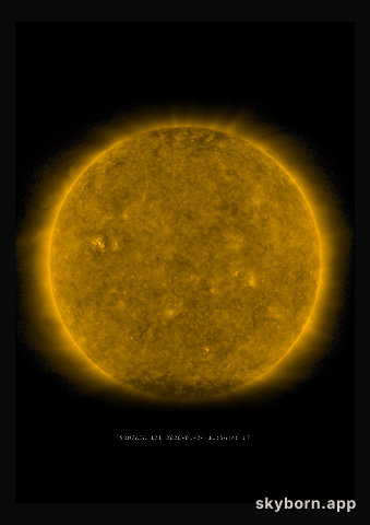 The Sun on 24 January 2020