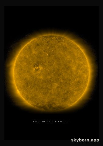 The Sun on 25 January 2020