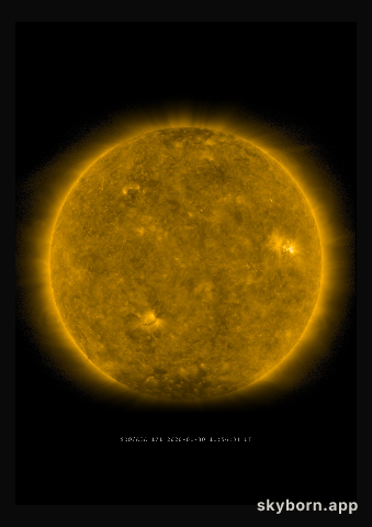 The Sun on 30 January 2020