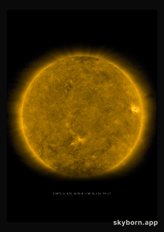 The Sun on 31 January 2020