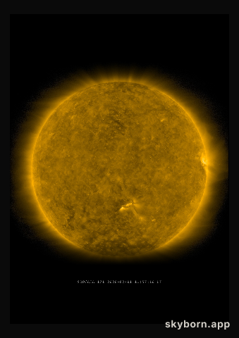 The Sun on 1 February 2020