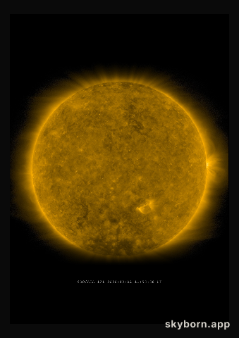 The Sun on 2 February 2020