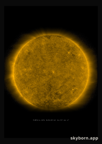 The Sun on 4 February 2020