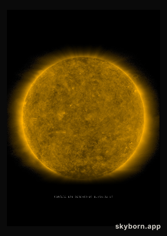The Sun on 5 February 2020