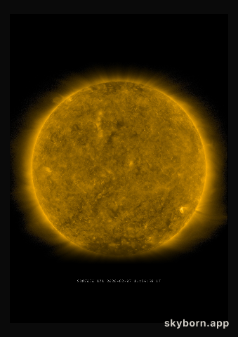 The Sun on 7 February 2020