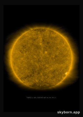 The Sun on 8 February 2020