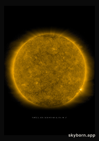 The Sun on 9 February 2020