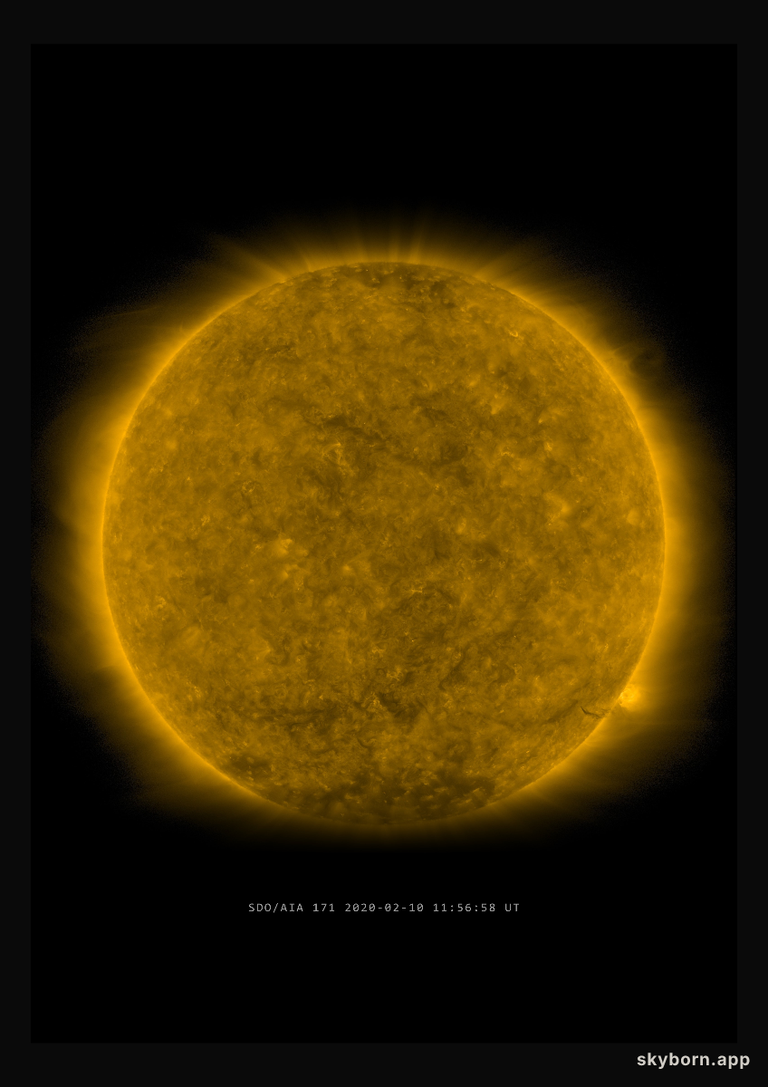 The Sun on 10 February 2020